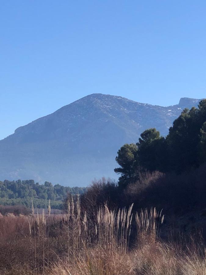Apartamentos Rurales Mirador Del Negratin Cuevas del Campo Zewnętrze zdjęcie
